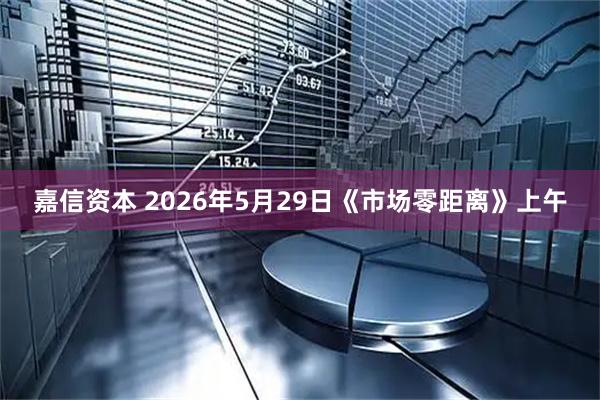 嘉信资本 2026年5月29日《市场零距离》上午