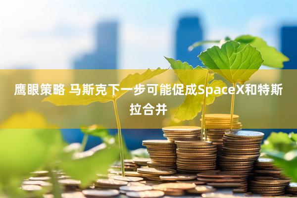 鹰眼策略 马斯克下一步可能促成SpaceX和特斯拉合并