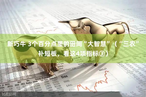 新巧牛 3个百分点里的田间“大智慧”（“三农”补短板，看这4项指标③）