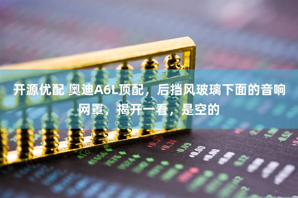 开源优配 奥迪A6L顶配，后挡风玻璃下面的音响网罩，揭开一看，是空的