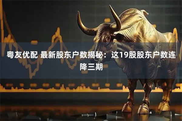 粤友优配 最新股东户数揭秘：这19股股东户数连降三期